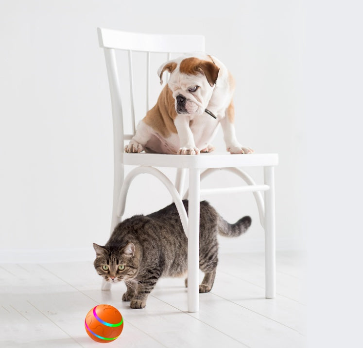 Pet New dogs and cats Wicked Ball Toy Intelligent Ball USB Cat Toys Self Rotating Ball Automatic Rotation Ball